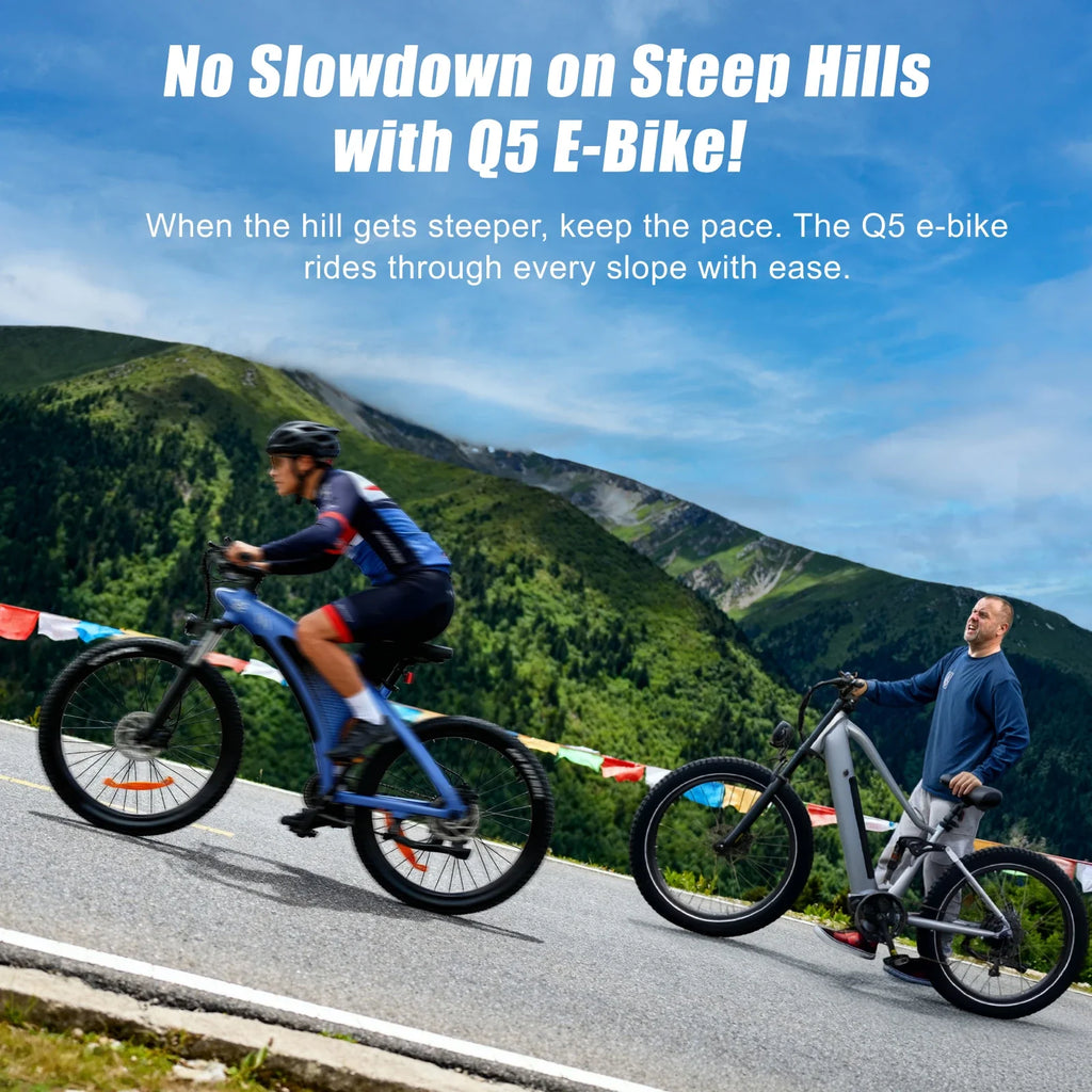 2000W 48V 20Ah Electric Mountain E-Bike — 27.5 in Fat Tire Adult Ebike, IPX6